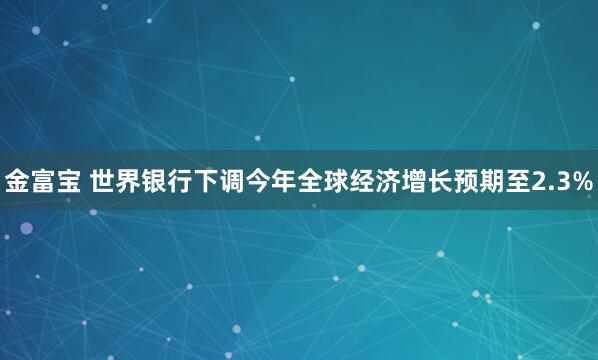 金富宝 世界银行下调今年全球经济增长预期至2.3%