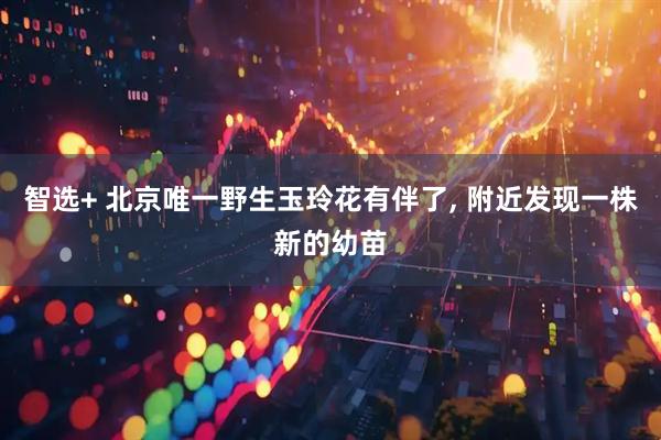 智选+ 北京唯一野生玉玲花有伴了, 附近发现一株新的幼苗