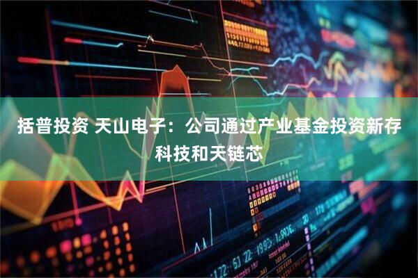 括普投资 天山电子：公司通过产业基金投资新存科技和天链芯