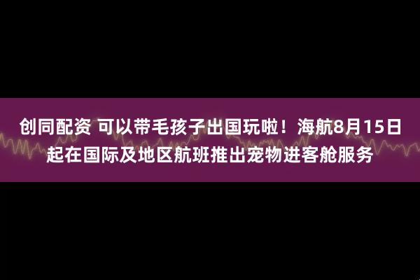 创同配资 可以带毛孩子出国玩啦！海航8月15日起在国际及地区航班推出宠物进客舱服务