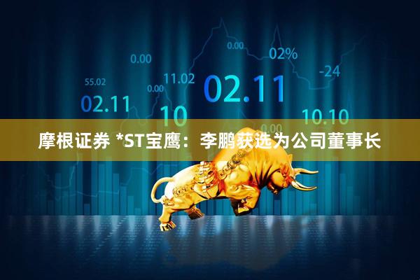 摩根证券 *ST宝鹰：李鹏获选为公司董事长