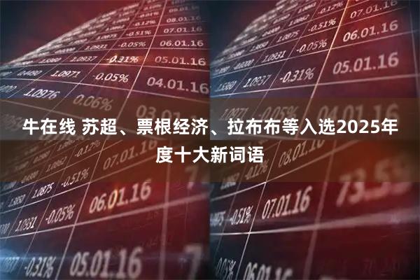 牛在线 苏超、票根经济、拉布布等入选2025年度十大新词语